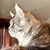Cathy Lynn Zick Minix's profile image