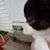 Lisa Ann Mahaffey Wood's profile image