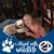 Donna Decker's profile image