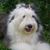 Barbara Williams Evans's profile image