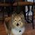 Debbie Nigrin's profile image