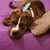 Janice Salvey's profile image
