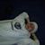 Allyssa Eldridge's profile image