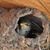 Janet Werch Snyder's profile image