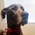 Tracy Williams's profile image