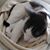 Barbara Forsyth's profile image