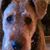 Sally Bruno's profile image