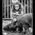 Ashley Russell Sowell's profile image
