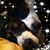 Cheryl Lynn's profile image