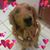 Tammy Rabideau's profile image