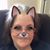 Flo Lang's profile image