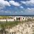 Patricia FitzMaurice's profile image