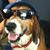 Jo Beth Reilly's profile image
