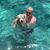 Gary Schneeberg's profile image
