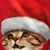 Charles Ward's profile image