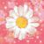 Lydia Birk's profile image