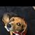Matt Quagliano's profile image
