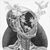 Keenan Bouchard's profile image