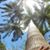 Lisa DiMarco's profile image