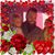 Daniel Moeller's profile image