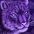 Shannon Emmons's profile image