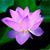 Melanie Thull's profile image