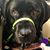 Dawn Rudolph's profile image