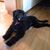 Sharon Tuttle's profile image