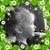 Debbie Martin Nanocchio's profile image
