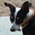 Bob Burley's profile image