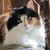Helen Kumhera's profile image