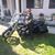 Lilit Dondonyan's profile image