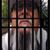 John Juarez's profile image