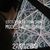 Rocio Rivera Luna's profile image