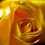 Barbara Cipriano's profile image