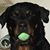 Mechelle Gagliano- Clark's profile image