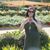 Kristen Saurazas's profile image