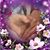 Caz Johnson's profile image