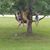 Dawn Marie O'Neil-Szabo's profile image