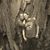 Jessie Wiles's profile image