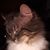 Devon'and Savannah Weinstein's profile image