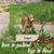 Lynn Doyon's profile image