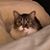 Bonnie Opperman Carpenter's profile image