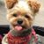 Lynn Faria's profile image