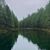 Michelle Naimola Hunter's profile image