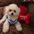 Sandy Schleppy's profile image