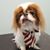 Gabrielle Libby's profile image