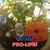 Paula Oxford Andrews's profile image