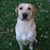 Jorge Coppen's profile image