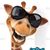 Robert Sylvestre's profile image